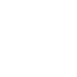feature-item-1