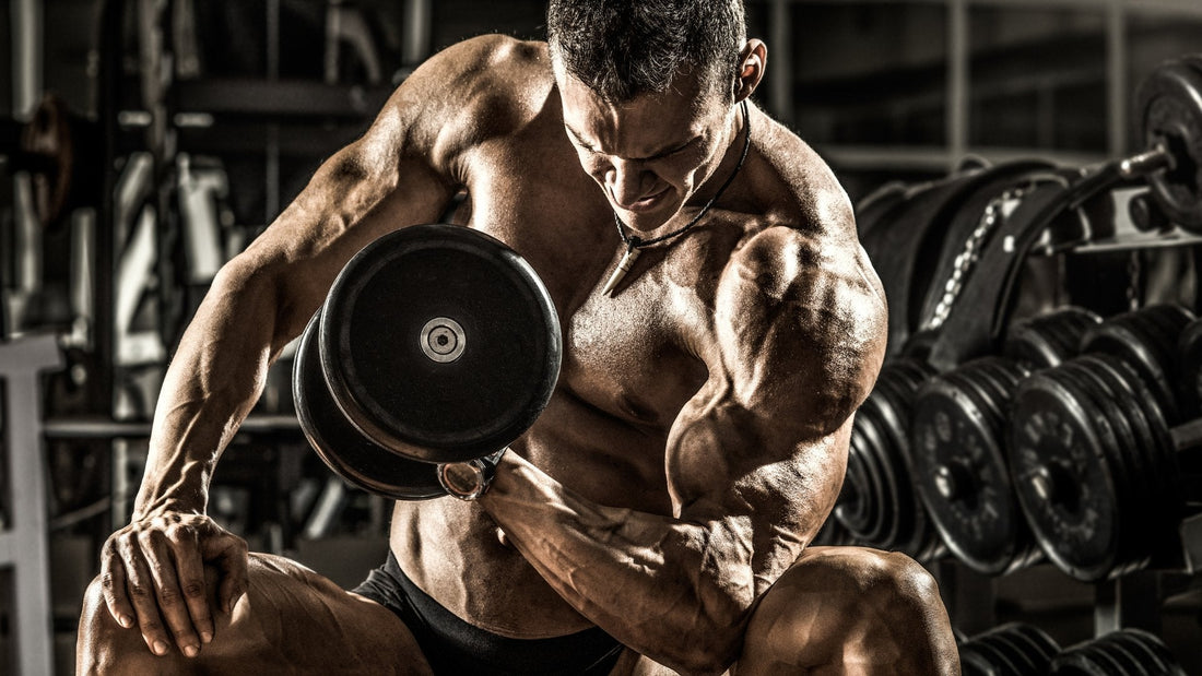 Les bases de la musculation pour sculpter votre physique idéal - Vialixir