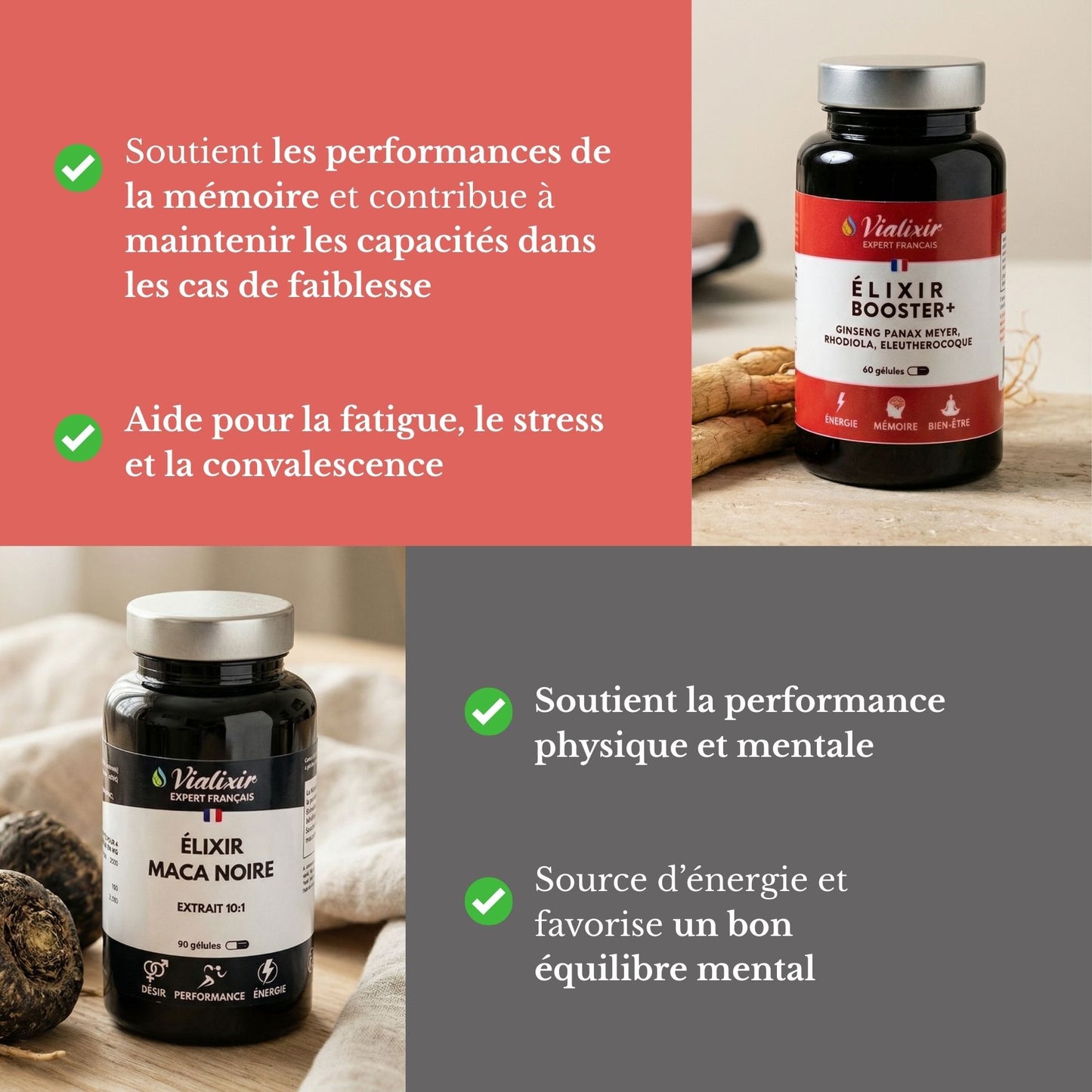 Pack Le Maitre Du Jeu